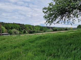 Idyllisches Baugrundstück in Lindegg – Lebensqualität inmitten der Thermenregion, 70000 €, Immobilien-Grund und Boden in 8283 Lindegg