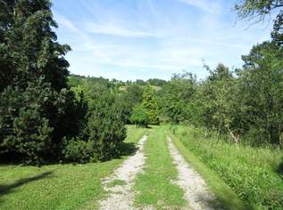 EXKLUSIVER BAUGRUND in parkähnlicher Anlage in OBERSIEVERING, 3760000 €, Immobilien-Grund und Boden in 1190 Döbling