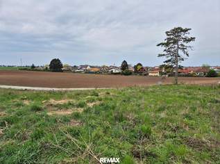 Attraktives Baugrundstück in Grünruhelage!, 208000 €, Immobilien-Grund und Boden in 2230 Gemeinde Gänserndorf Attraktives Baugrundstück in Grünruhelage!, 208000 €, Immobilien-Grund und Boden in 2230 Gemeinde Gänserndorf