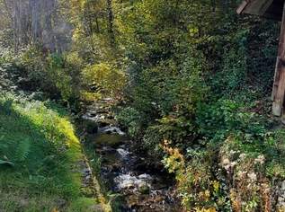 Für Naturliebhaber und Heimwerker- sanierungsbedürftiges Bauernhaus mit Nebengebäuden - zwischen Hermagor und Villach, 180000 €, Immobilien-Häuser in 9613 Hohenthurn