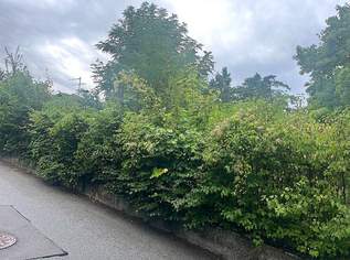 Baugrund in Klosterneuburg – Weidling 1.793 m² Grundstücksfläche | Altbestand vorhanden | teilbar !!, 0 €, Immobilien-Grund und Boden in 3400 Weidling Baugrund in Klosterneuburg – Weidling 1.793 m² Grundstücksfläche | Altbestand vorhanden | teilbar !!, 0 €, Immobilien-Grund und Boden in 3400 Weidling