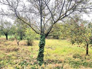 Doppelgrundstück möglich !!!, 235000 €, Immobilien-Grund und Boden in 7122 Gols Doppelgrundstück möglich !!!, 235000 €, Immobilien-Grund und Boden in 7122 Gols