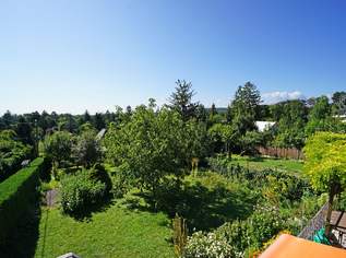 Kleingarten-Doppelparzelle im Eigentum mit Altbestand - Ober St. Veit beim Lainzer Tiergarten, 820000 €, Immobilien-Grund und Boden in 1130 Hietzing