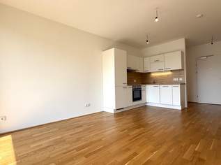 Günstige Neubauwohnung mit großer West-Loggia (5,72m²) nahe Akademiepark, 699 €, Immobilien-Wohnungen in Niederösterreich