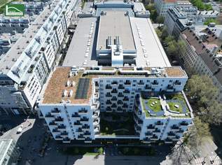 Wohnen in 1200 Wien nahe der Donau & Millennium City - ab sofort beziehbar!, 1099 €, Immobilien-Wohnungen in 1200 Brigittenau