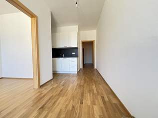 Ideal aufgeteilte 3 Zimmerwohnung mit neu eingebauter Küche, 813.82 €, Immobilien-Wohnungen in Oberösterreich