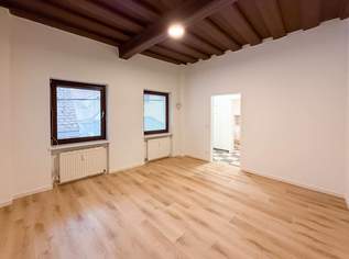 Neu saniert & zentral – Garconniere direkt am Stadtplatz in Steyr, 430.5 €, Immobilien-Wohnungen in 4400 Steyr