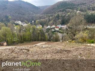 Grundstück in Hanglage in Kaltenleutgeben, 550000 €, Immobilien-Grund und Boden in 2391 Gemeinde Kaltenleutgeben