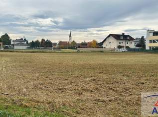 Herrlicher, großer Baugrund im Zentrum von Marchtrenk!, 0 €, Immobilien-Grund und Boden in 4614 Marchtrenk