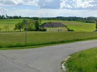 Großzügiges Grundstück im Mischbaugebiet ohne Bauzwang - Wohn- und Arbeitsmöglichkeit kombiniert (Provisionsfrei), 246000 €, Immobilien-Grund und Boden in 4174 Wolkersdorf Großzügiges Grundstück im Mischbaugebiet ohne Bauzwang - Wohn- und Arbeitsmöglichkeit kombiniert (Provisionsfrei), 246000 €, Immobilien-Grund und Boden in 4174 Wolkersdorf