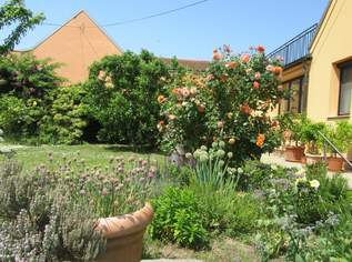 NEU RENOVIERTES EINFAMILIENHAUS MIT NEBENGEBÄUDE, 178000 €, Immobilien-Häuser in 2265 Waltersdorf an der March NEU RENOVIERTES EINFAMILIENHAUS MIT NEBENGEBÄUDE, 178000 €, Immobilien-Häuser in 2265 Waltersdorf an der March
