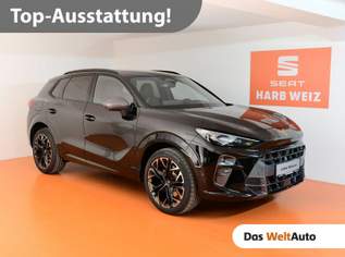 Terramar 2.0 TSI 204 PS DSG 4Drive, 49790 €, Auto & Fahrrad-Autos in 8160 Weiz