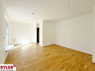 kompakte 2 Zimmerwohnung mit Terrasse, 299000 €, Immobilien-Wohnungen in 1230 Liesing kompakte 2 Zimmerwohnung mit Terrasse, 299000 €, Immobilien-Wohnungen in 1230 Liesing