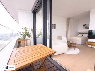 Exklusive möblierte Wohnung in den DANUBEFLATS mit phantastischem Ausblick, 1450 €, Immobilien-Wohnungen in 1220 Donaustadt