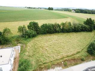 Grundstück mit traumhafter Aussicht in St. Martin im Mühlkreis Grundstück mit traumhafter Aussicht in St. Martin im Mühlkreis