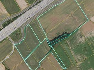 Grünland FÜR Ackerbau mit einer leichten Widmungsfantasie, 0 €, Immobilien-Grund und Boden in Oberösterreich