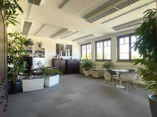 BÜRO - ORDINATION - PRAXIS | TOP LAGE MIT BALKON, 3069.78 €, Immobilien-Gewerbeobjekte in 1090 Alsergrund