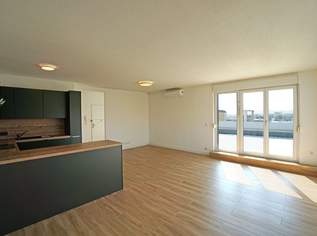 Anninger-Blick: Penthouse-Wohnung | 131 m² Wfl. | 80 m² Dachterrasse | PKW-Stellplatz | riesiger Gemeinschaftsgarten, 770000 €, Immobilien-Wohnungen in 2345 Brunn am Gebirge