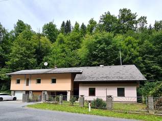 Attraktives Immobilienangebot in Bad Eisenkappel: Zwei sanierungsbedürftige Häuser mit Garten, Garagen und viel Potenzial, 98000 €, Immobilien-Häuser in 9135 Bad Eisenkappel