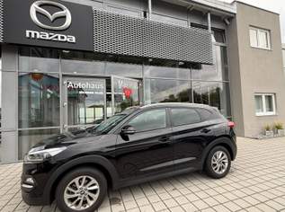 Tucson 2,0 CRDI 4WD Platin, 15900 €, Auto & Fahrrad-Autos in 8344 Bad Gleichenberg Tucson 2,0 CRDI 4WD Platin, 15900 €, Auto & Fahrrad-Autos in 8344 Bad Gleichenberg