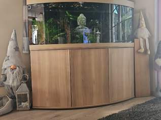 450 juwel Aquarium Kombi, 850 €, Marktplatz-Tiere & Tierbedarf in 3100 St. Pölten