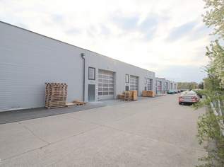 Büro in TOP Lage, 1509 €, Immobilien-Gewerbeobjekte in 2512 Katastralgemeinde Tribuswinkel