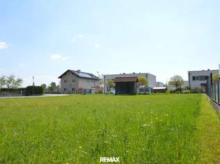 Ebener Baugrund ohne Bauverpflichtung, 59900 €, Immobilien-Grund und Boden in 3372 Katastralgemeinde Blindenmarkt