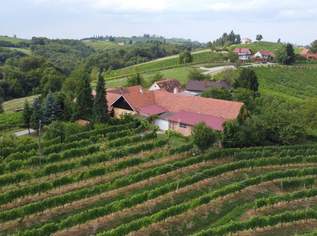 IN SLOWENIEN - Weingut in der berühmten Weinbauregion JERUZALEM, 299000 €, Immobilien-Häuser in 8490 Bad Radkersburg