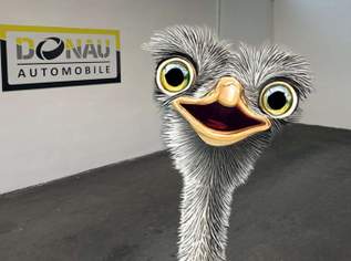 i3 42,2kWh * Sportpaket * Leder * nur 10.000km *, 26990 €, Auto & Fahrrad-Autos in 3400 Gemeinde Klosterneuburg