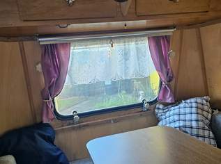 Eriba Puck Export, 4700 €, Auto & Fahrrad-Wohnwagen & Anhänger in 2225 Gemeinde Zistersdorf