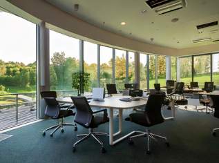 Flexible Co-Working-Spaces im Marchfeld!, 190 €, Immobilien-Gewerbeobjekte in 2304 Mannsdorf an der Donau