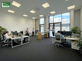 Großraumbüro für Start-Ups! - JETZT ZUSCHLAGEN, 1024.53 €, Immobilien-Gewerbeobjekte in 8020 