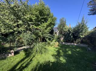 IHR RÜCKZUGSORT AN DER ALTEN DONAU - CHARMANTES HAUS AUF EIGENGRUND, 568000 €, Immobilien-Häuser in 1220 Donaustadt