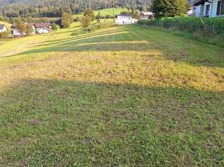 Baugrund   Randlage kein Bauzwang 110 km von wienvon wien Südautobahn S6 direkt erreichbar