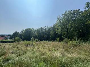 Zwei Baugrundstücke mit angrenzender Waldfläche in Hartberg – Am Brühlbach