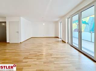 Neu gebaute Eigentumswohnung mit West-Balkon, 479000 €, Immobilien-Wohnungen in 2344 Gemeinde Maria Enzersdorf