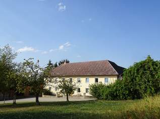 Bauernhof in Einzellage mit ca. 2,7 ha Grund, 780000 €, Immobilien-Häuser in 4431 Haidershofen