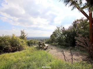 Eigengrund: Grünland mit Gartenhaus - Großes Grundstück in Mauer am Kadoltsberg - direkt am Lainzer Tiergarten, 498000 €, Immobilien-Grund und Boden in 1230 Liesing Eigengrund: Grünland mit Gartenhaus - Großes Grundstück in Mauer am Kadoltsberg - direkt am Lainzer Tiergarten, 498000 €, Immobilien-Grund und Boden in 1230 Liesing