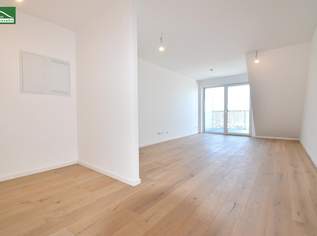 Investoren aufgepasst (Nettopreis) - 2.Zimmer in absoluter Hofruhelage mit Fernblick-Terrasse auf Eigengrund! - JETZT ZUSCHLAGEN, 295075.71 €, Immobilien-Wohnungen in 1220 Donaustadt