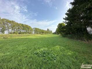 Grundstück für Bauträger in Königstetten, 0 €, Immobilien-Grund und Boden in 3433 Gemeinde Königstetten Grundstück für Bauträger in Königstetten, 0 €, Immobilien-Grund und Boden in 3433 Gemeinde Königstetten
