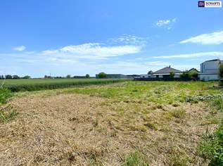 Perfekt für Häuslbauer und als Anlage: Baugrundstück I Grünruhelage I unverbautes Gegenüber I Kein Bauzwang!, 275000 €, Immobilien-Grund und Boden in 2441 Gemeinde Mitterndorf an der Fischa