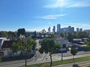 Penthouse- Erstbezug beim Freizeitparadies "alte Donau", 720000 €, Immobilien-Wohnungen in 1220 Donaustadt