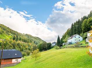 Renditeobjekt mit 3 Einheiten am nördlichen Stadtrand von Linz, 395000 €, Immobilien-Häuser in 4202 Hochbuchedt