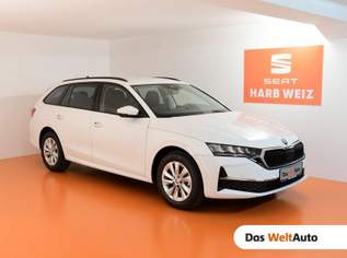 Octavia Selection TDI DSG, 33690 €, Auto & Fahrrad-Autos in 8160 Weiz
