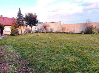 953m² kompaktes Baugrundstück, sonnige Ruhelage mit Altbestand, 199900 €, Immobilien-Grund und Boden in 2473 Gemeinde Potzneusiedl