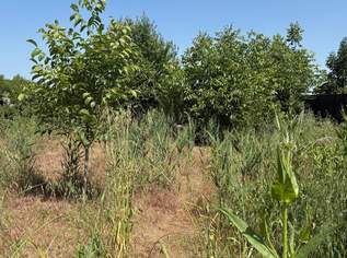 Traumhaftes Baugrundstück in Perchtoldsdorf – Ihr Eigenheim wartet!, 430000 €, Immobilien-Grund und Boden in 2380 Gemeinde Perchtoldsdorf Traumhaftes Baugrundstück in Perchtoldsdorf – Ihr Eigenheim wartet!, 430000 €, Immobilien-Grund und Boden in 2380 Gemeinde Perchtoldsdorf