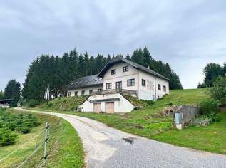 Großzügiges Landhaus in Streusiedlungslage, 280000 €, Immobilien-Häuser in 3920 Josefsdorf