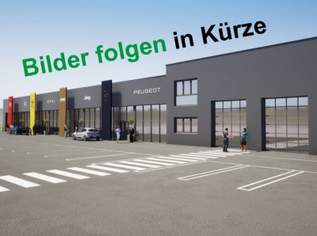 Expert Premium Kasten L2H1 BlueHDi S&S 120, 25980 €, Auto & Fahrrad-Autos in 3542 Gemeinde Gföhl