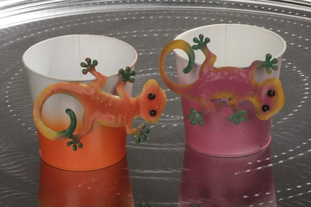Übertopf Gecko Übertopf Gecko