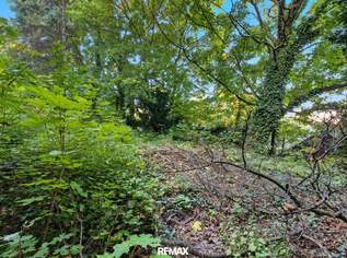 Bisamberg – Bauträgergrundstück mit attraktivem Entwicklungspotenzial!, 698000 €, Immobilien-Grund und Boden in 2102 Bisamberg Bisamberg – Bauträgergrundstück mit attraktivem Entwicklungspotenzial!, 698000 €, Immobilien-Grund und Boden in 2102 Bisamberg